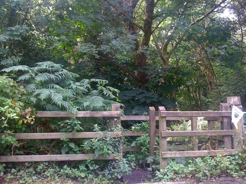 BLACKWOOD FOREST Updated May 2024 Crawfordsburn Rd, Newtownards