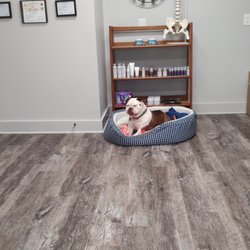 Juvenate Health and Wellness - And there was a puppy there that I fell in love with