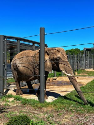 Milwaukee County Zoo by null