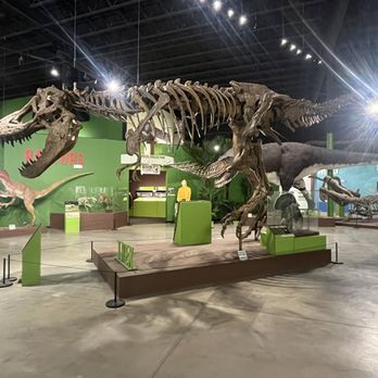 Indiana Dinosaur Museum - Inside of the museum - Children's Museums Near Me - South Bend, Indiana