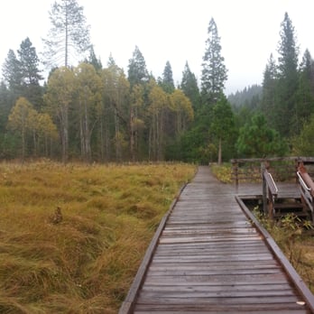 Pipi Campground - wheelchair accessible camping area - this path along the marsh leads to the river - partially paved - Campgrounds Near Me Pipi Campground - wheelchair accessible camping area - this path along the marsh leads to the river - partially paved - Campgrounds Near Me