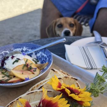 Presqu'ile Winery - Even June appreciates a good wine tasting luncheon. - Wineries Near Me - Santa Maria, California