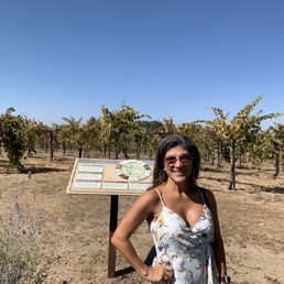 Vineyard view Vineyard view