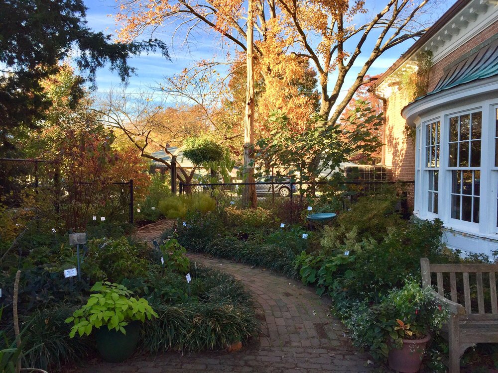 GLENCARLYN LIBRARY COMMUNITY GARDEN Updated May 2024 14 Photos