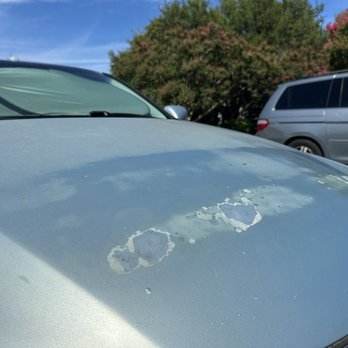 Abs Collision Repair - BEFORE: Clear Coat Failure on hood (bubbling/peeling). - Body Shops Near Me - Charleston, South Carolina Abs Collision Repair - BEFORE: Clear Coat Failure on hood (bubbling/peeling). - Body Shops Near Me - Charleston, South Carolina
