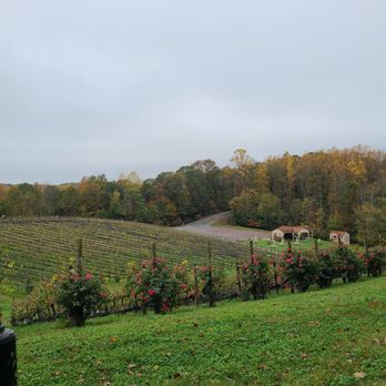 Potomac Point Winery - Views of the vineyard - Wineries Near Me - Stafford, Virginia