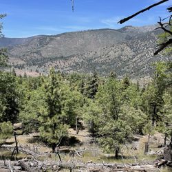 San Gorgonio Campground - One of the many spectacular views from our nature hike.
