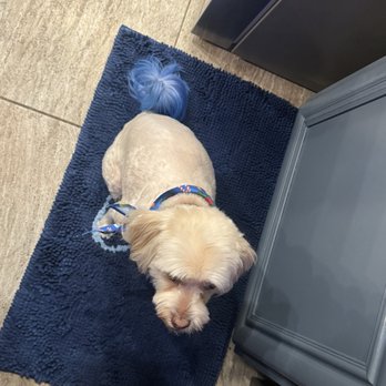 Vanity Fur Menifee - Pet Groomers Near Me Vanity Fur Menifee - Pet Groomers Near Me