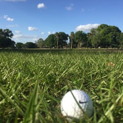 Oak Leaf Golf Course - I hit it a little farther than them.