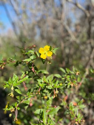 Sawgrass Lake Park by null