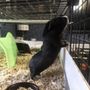 Photo of Avian & Exotic Animal Clinic