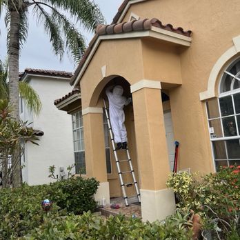 Direct Pest Solutions - Above entryway - Pest Control Near Me - Miami, Florida