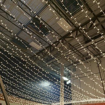 Stargazer - Ceiling views from the event space - Coffee & Tea Near Me - Austin, Texas Stargazer - Ceiling views from the event space - Coffee & Tea Near Me - Austin, Texas