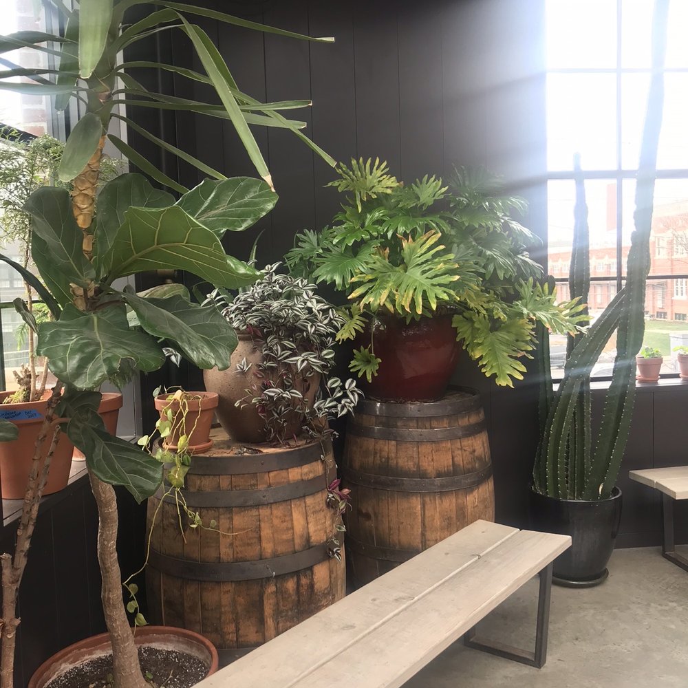 Seventh Son Brewing - Breweries Near Me - Columbus, Ohio Seventh Son Brewing - Breweries Near Me - Columbus, Ohio