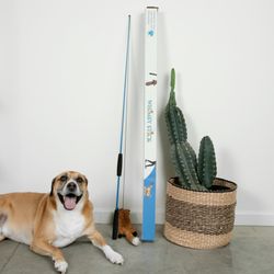 Christopher Lee Moran Dog Training - Whimsy Stick whimsystick.com