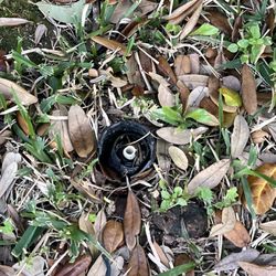 Lawn Love Lawn Care