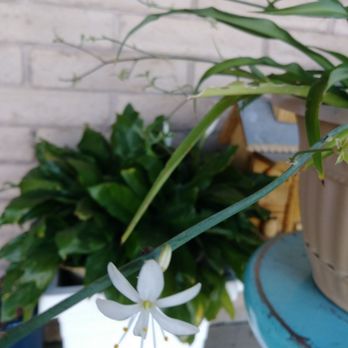 Ms. Kitty's Country Inn - Flowers and honey bees! - Hotels Near Me - Mancos, Colorado Ms. Kitty's Country Inn - Flowers and honey bees! - Hotels Near Me - Mancos, Colorado