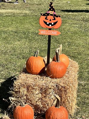 Kate Sessions Memorial Park by null