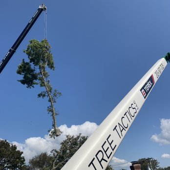 Tree Tactics - Emergency removal - Tree Services Near Me