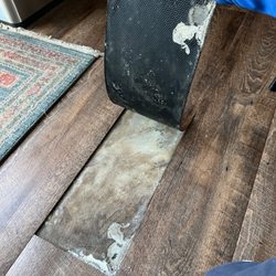 Carpet Cave - This has been happening all over our floor.