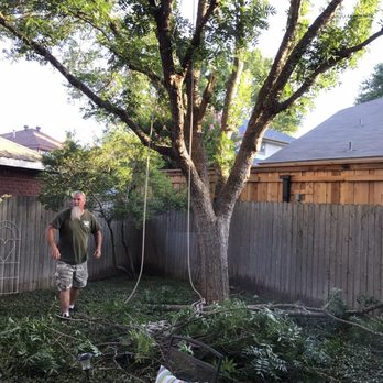 Total Unique Tree Service - Tree Services Near Me - Plano, Texas Total Unique Tree Service - Tree Services Near Me - Plano, Texas