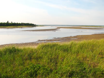 Kouchibouguac National Park by null