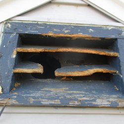 Animal Control Pros - Squirrels eat out vent to get into homes