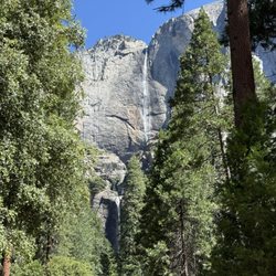 Wawona Campground - Yosemite falls