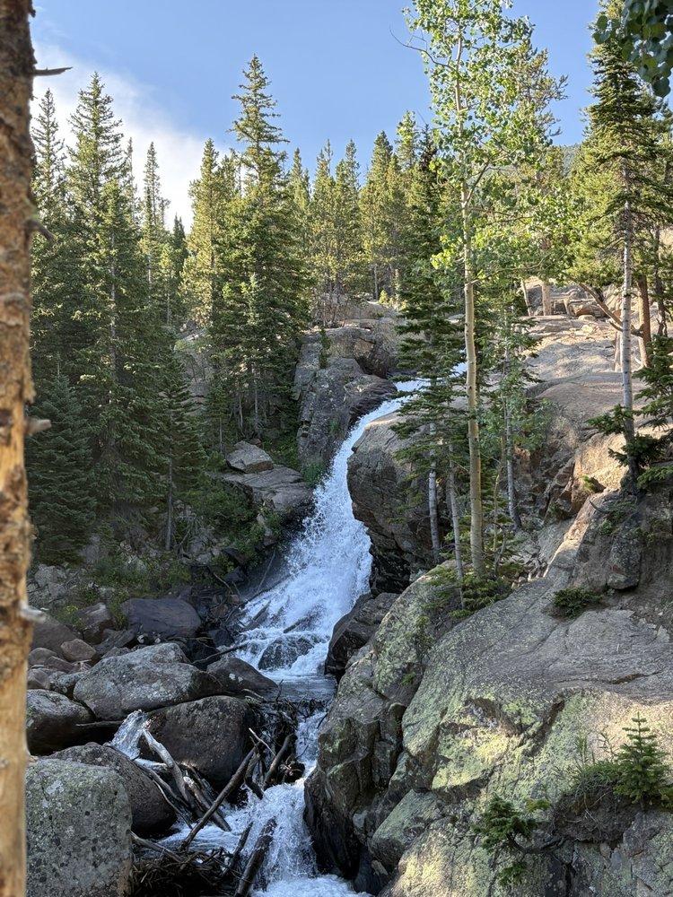 Alberta Falls Logo