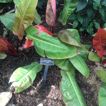 Lincoln Park Conservatory - Parks Near Me - Chicago, Illinois