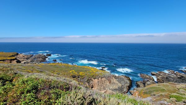 Garrapata State Park by null