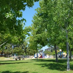 Carmel Creek Park - Park and the playground