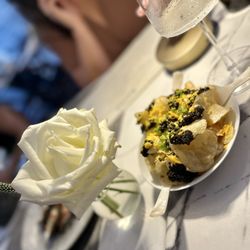 Brine Oysters Champagne & Caviar - Caviar nachos