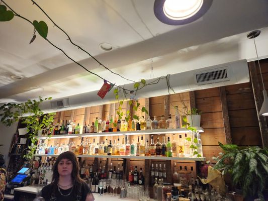 Bar Botanico by null