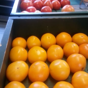 Beech Spring Farm Market - Freah tomatoes hand picked and gently placed in bins - Fruits & Veggies Near Me - Winchester, Kentucky Beech Spring Farm Market - Freah tomatoes hand picked and gently placed in bins - Fruits & Veggies Near Me - Winchester, Kentucky