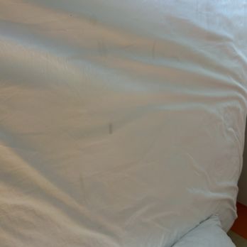 Motel 6 - Gross sheet stains - Hotels Near Me - Newport, Tennessee