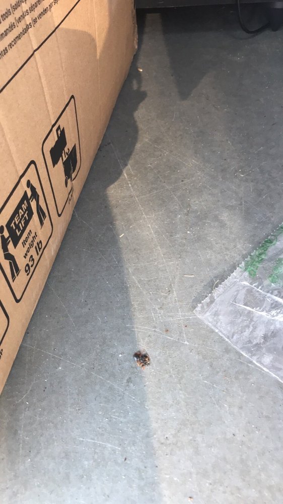 STORAGE SOLUTIONS Updated July 2024 1990 N Roberts Ave, Lumberton