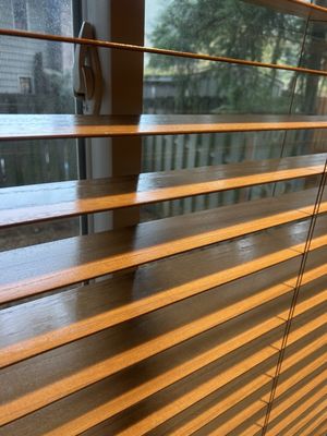 Making All Things New Naturally Cleaning Services