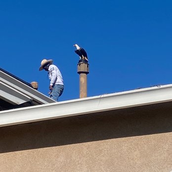 Edward’s Roofing - Edward and his crew cleaned the solar panels , cleaned pigeons poops and applied the chicken wires under my solar panel. - Gutter Services Near Me - Bay Point, California