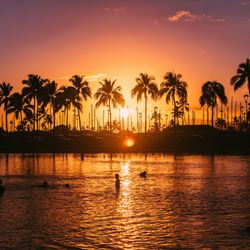 Ok Travel Agency - Hawaii Sunset