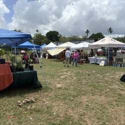 Aguadilla Farmers Market - Vista general