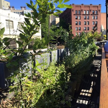 Terra Plata - Gorgeous rooftop! - New American Near Me - Seattle, Washington