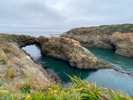 Mendocino Headlands State Park by null