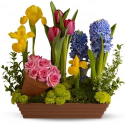 The Flower Basket - Spring Favorites