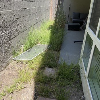 Highridge - Contractors tossed a window screen in the overgrown weeds and just left it there for months - Apartments Near Me - Rancho Palos Verdes, California