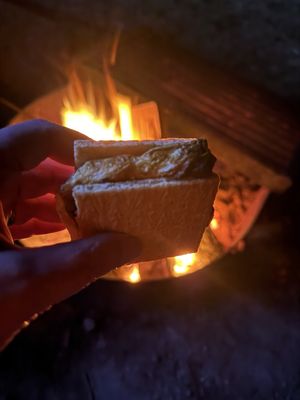 Nehalem Bay State Park by null