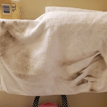 Super 8 by Wyndham Louisa - Seriously dirty..... - Hotels Near Me - Louisa, Kentucky