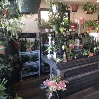 Beartooth Floral & Gifts - Florists Near Me - Cody, Wyoming Beartooth Floral & Gifts - Florists Near Me - Cody, Wyoming