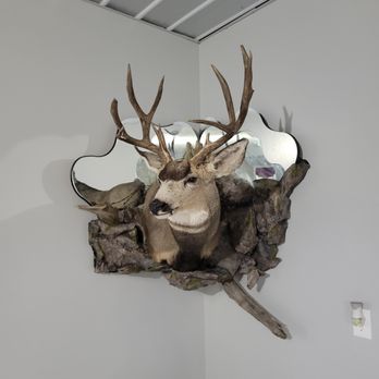 Tony's Taxidermy - Taxidermy Near Me - Endeavor, Wisconsin Tony's Taxidermy - Taxidermy Near Me - Endeavor, Wisconsin