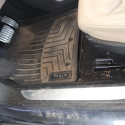 Supreme Mobile Detailing - BEFORE (DIRTY MAT & CARPET)